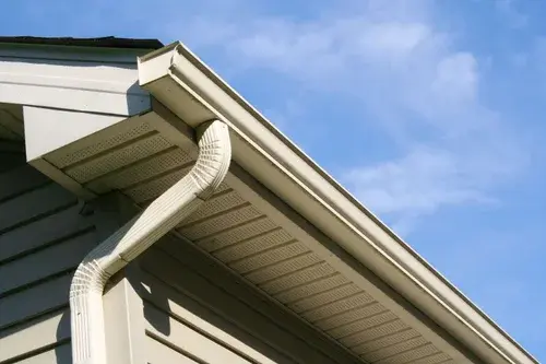 Gutter Cleaning Services