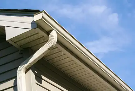 Gutter Cleaning